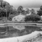 Estudo fotográfico com câmeras de médio e grande formato: Jardim Botânico de São Paulo